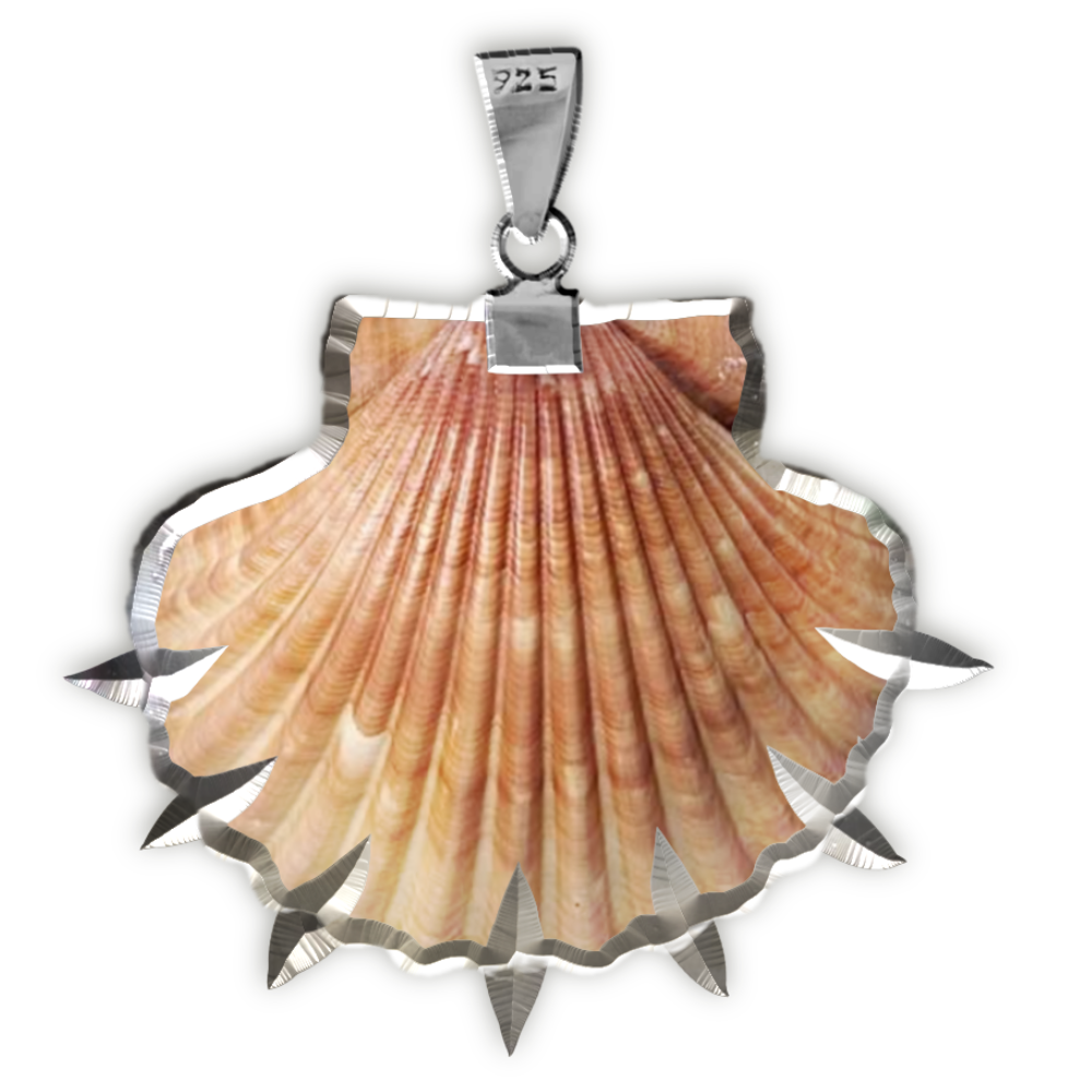 charm 3